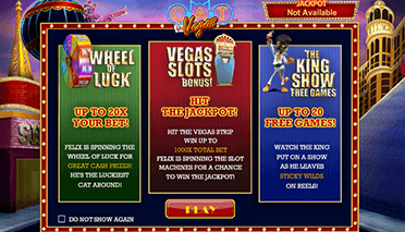 Cat In Vegas